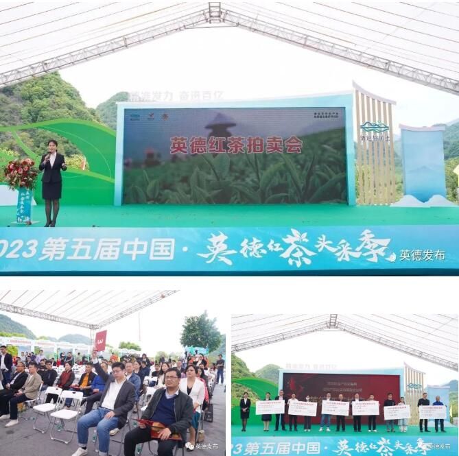 关于奋进茶百亿！英德红茶头采季开幕的资讯(7)