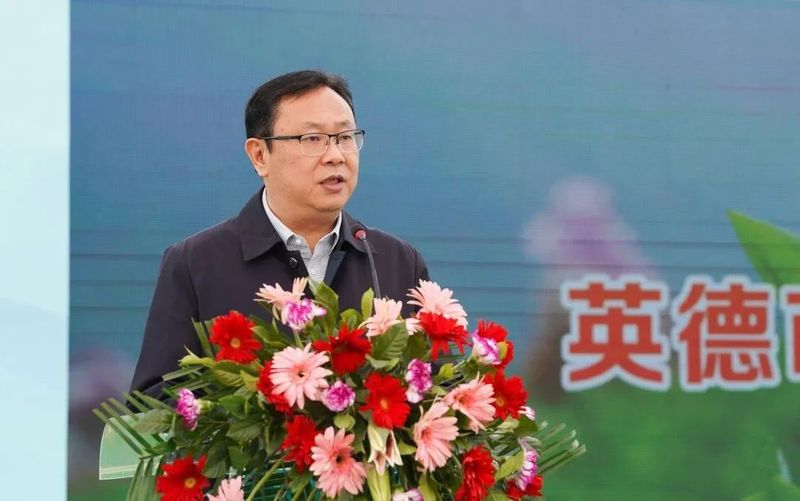 关于奋进茶百亿！英德红茶头采季开幕的资讯(6)