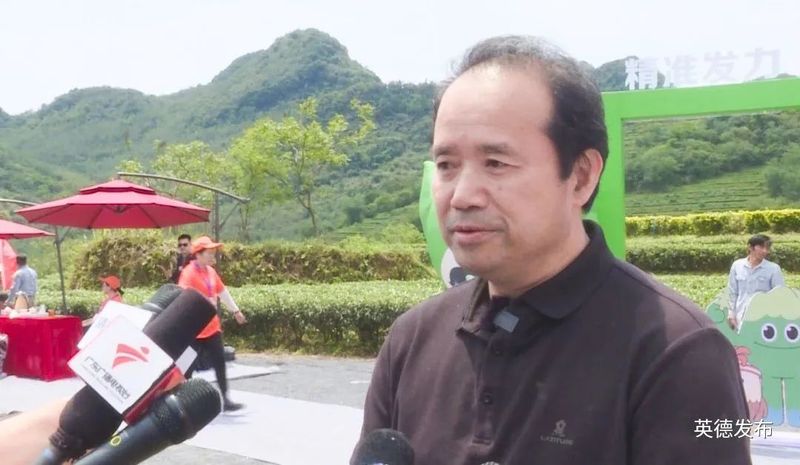 关于奋进茶百亿！英德红茶头采季开幕的资讯(9)