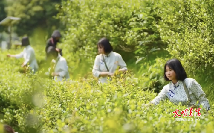有关于耒阳市“喊山采茶”演绎“指尖芭蕾”的相关信息(2)