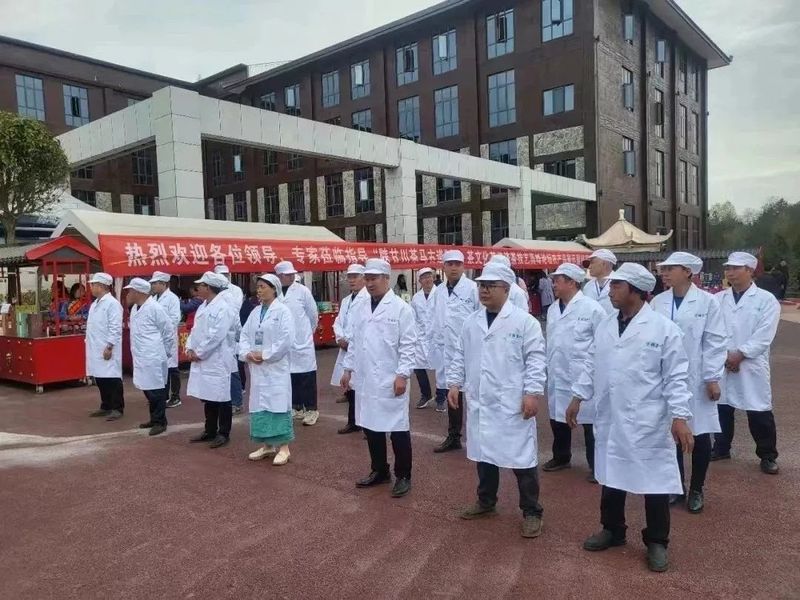 关于宁强县成功举办2023年汉中仙毫手工制茶技艺交流活动的相关内容(2)