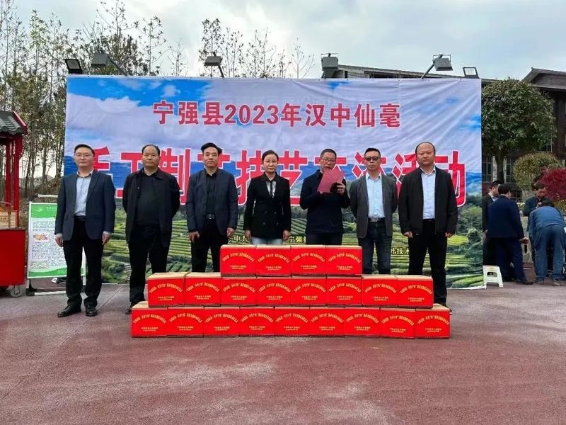 关于宁强县成功举办2023年汉中仙毫手工制茶技艺交流活动的相关内容