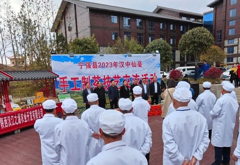 关于宁强县成功举办2023年汉中仙毫手工制茶技艺交流活动的相关内容(1)