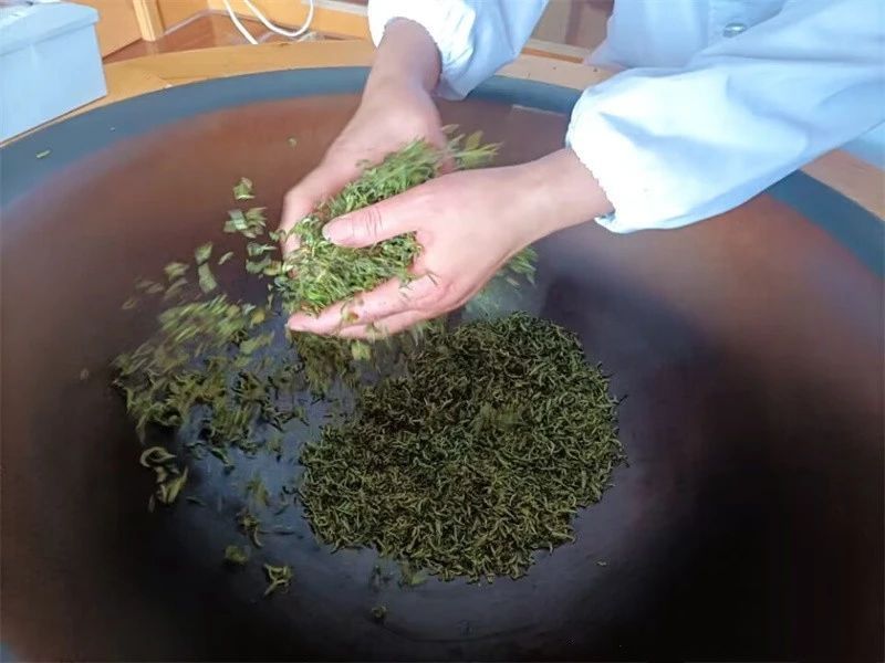 关于第一杯春茶你喝了吗?“体验+茶艺”带着茶文化出圈的最新消息(3)