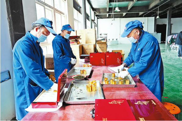 有关于陕西山阳：延坪镇枫树村茶产业——从小茶园到大产业的内容(3)