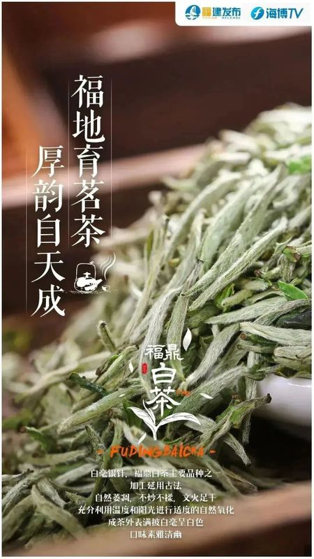 关于国际范！福建“一片叶”，飘香全世界的内容(6)