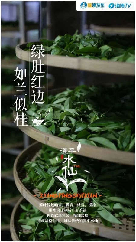 关于国际范！福建“一片叶”，飘香全世界的内容(8)