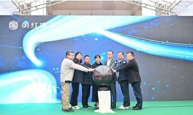 有关于头采春茶 认养茶树……英德红茶头采节活动将陆续上“新”！的资讯(2)