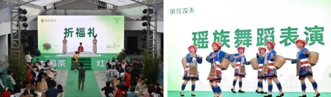 有关于头采春茶 认养茶树……英德红茶头采节活动将陆续上“新”！的资讯(1)