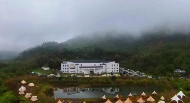 有关于头采春茶 认养茶树……英德红茶头采节活动将陆续上“新”！的资讯(4)