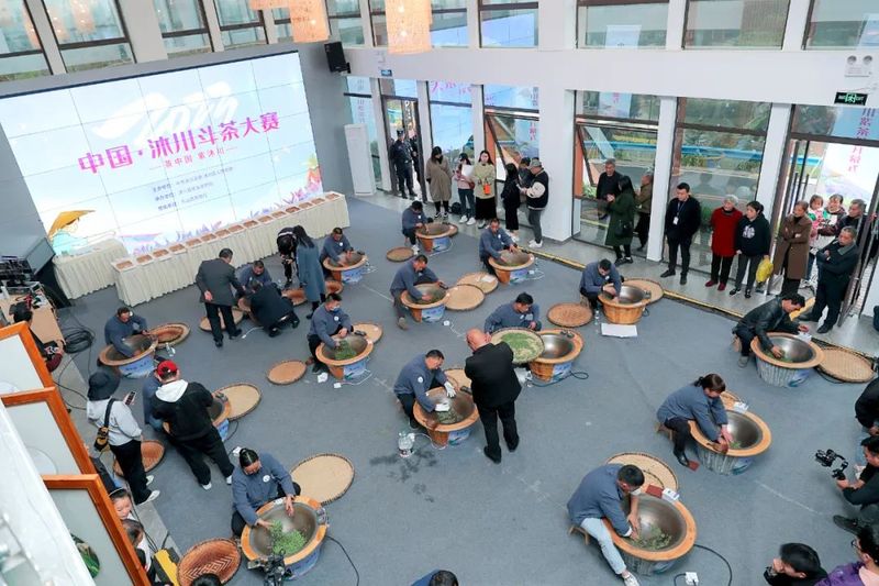 有关于2023年中国·沐川紫茶节  斗茶大赛显身手 传统技艺茶飘香的内容