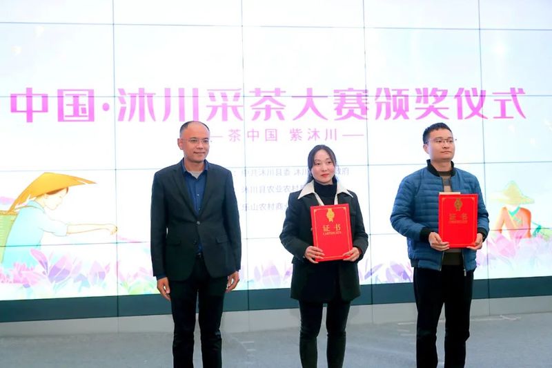 有关于2023年中国·沐川紫茶节  斗茶大赛显身手 传统技艺茶飘香的内容(4)