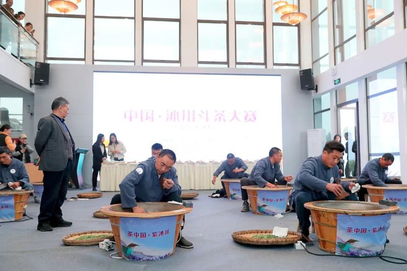 有关于2023年中国·沐川紫茶节  斗茶大赛显身手 传统技艺茶飘香的内容(1)