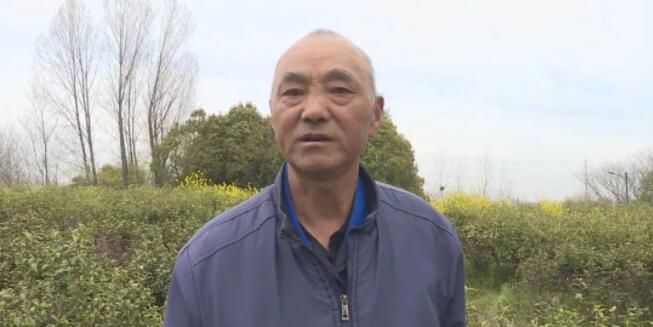 有关于仪征春茶上市！明前茶叶超1000元的消息(1)