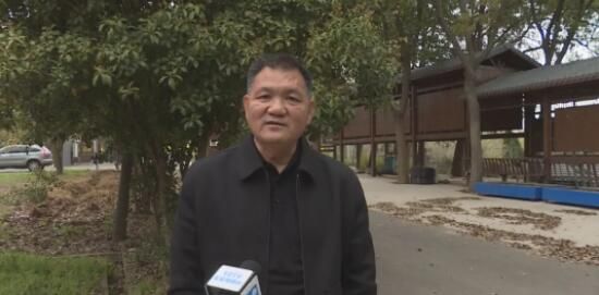 有关于仪征春茶上市！明前茶叶超1000元的消息(4)