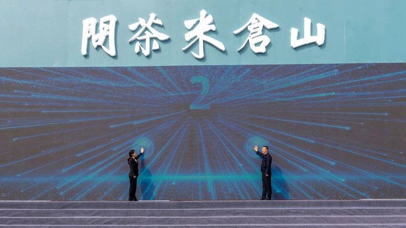 有关于数据中心正式上线，旺苍茶产业步入新征程的相关信息(1)
