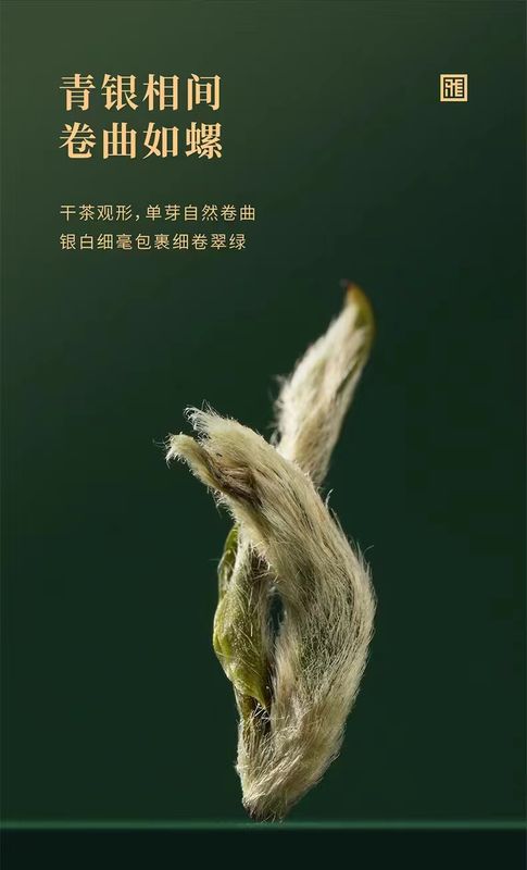 有关于“新势力、新征程、新未来”，这场雅茶产业推介大会释放了哪些重磅信号？的相关信息(4)