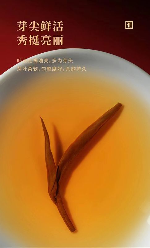 有关于“新势力、新征程、新未来”，这场雅茶产业推介大会释放了哪些重磅信号？的相关信息(3)