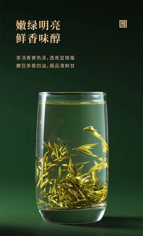 有关于“新势力、新征程、新未来”，这场雅茶产业推介大会释放了哪些重磅信号？的相关信息(5)