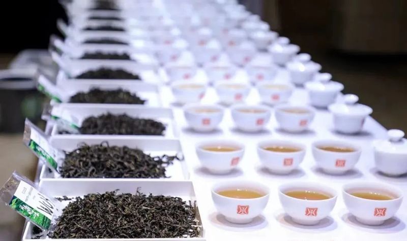 关于品荆楚好茶，行万里茶道  首届“楚茶论坛”启航在即！的相关信息(10)