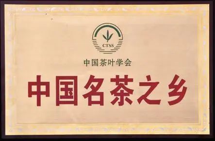 关于回顾！盘点旺苍茶业大事记的消息(3)