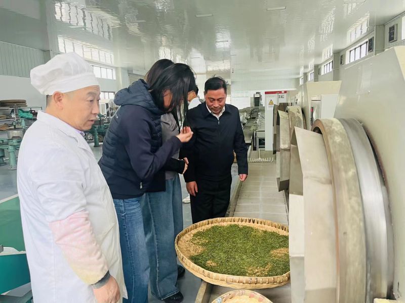 有关于世界茶联合会秘书长刘欢天一行赴平昌县调研茶产业发展的相关内容(4)