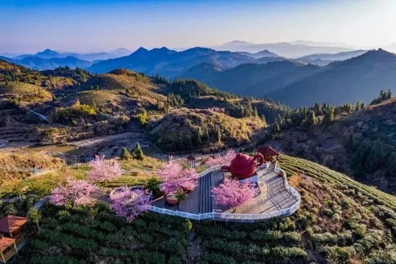 关于大田:一片叶子成长为一个产业的资讯(10)