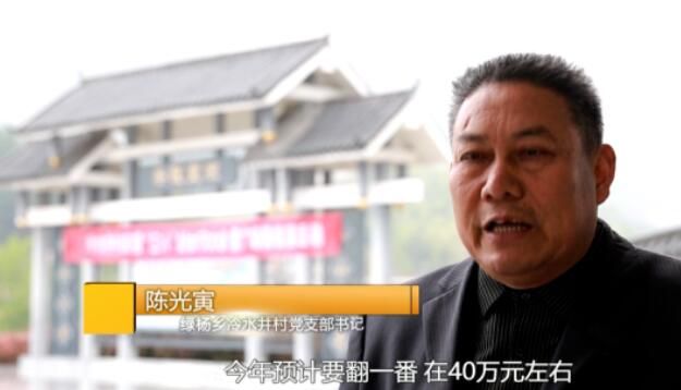 关于浠水绿杨乡：春茶飘香茶农笑的信息(11)