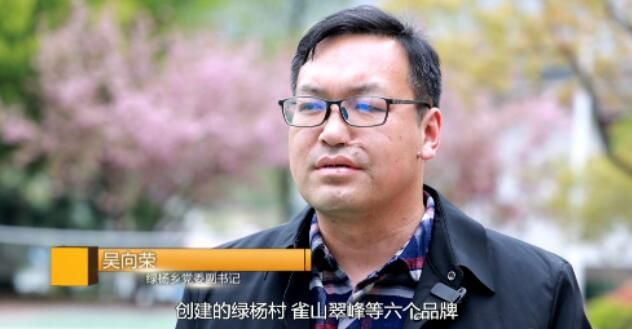 关于浠水绿杨乡：春茶飘香茶农笑的信息(12)