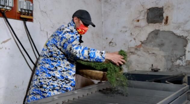 关于浠水绿杨乡：春茶飘香茶农笑的信息(8)