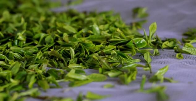 关于浠水绿杨乡：春茶飘香茶农笑的信息(7)