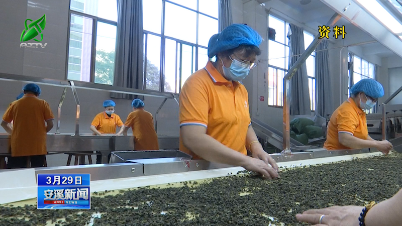 关于安溪 乡贤共叙桑梓情 以茶会才谋发展的消息(1)