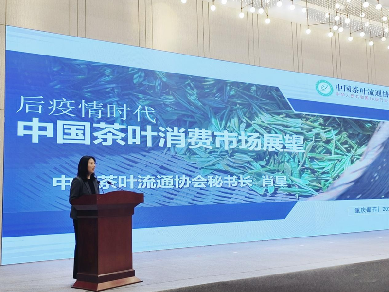 有关于“奉节白茶香 助农新方向”奉节县2023年采茶节成功举办!的信息(1)