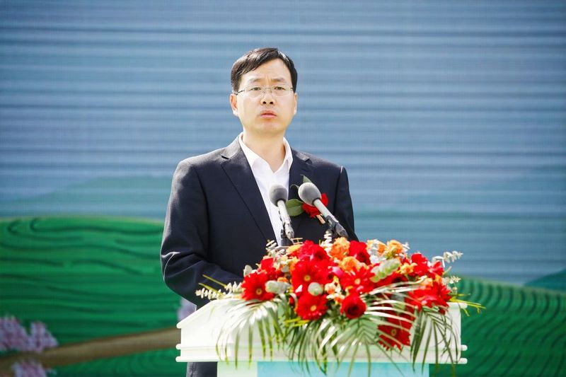 有关于2023第十五届合肥·庐江“白云春毫”茶文化旅游节盛大开幕的资讯(3)