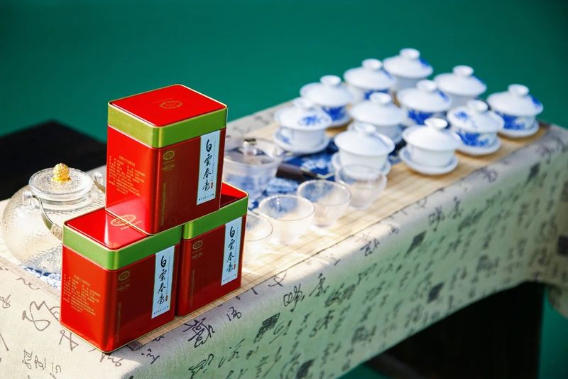 有关于2023第十五届合肥·庐江“白云春毫”茶文化旅游节盛大开幕的资讯(9)