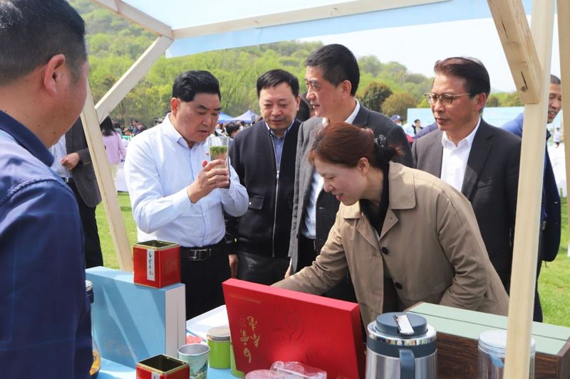 有关于2023第十五届合肥·庐江“白云春毫”茶文化旅游节盛大开幕的资讯(10)