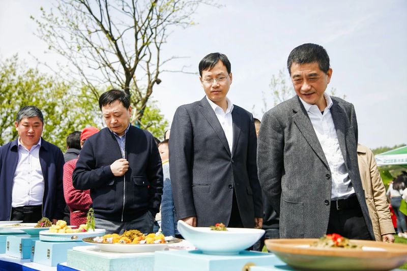 有关于2023第十五届合肥·庐江“白云春毫”茶文化旅游节盛大开幕的资讯(7)