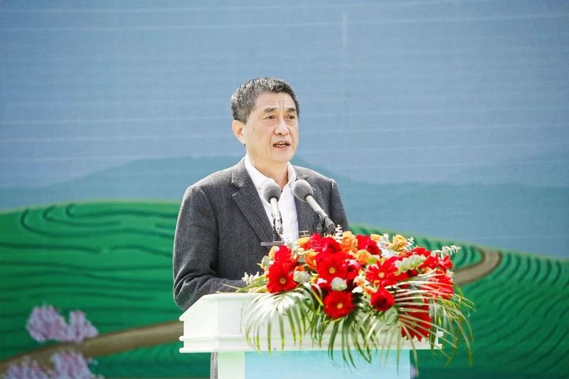 有关于2023第十五届合肥·庐江“白云春毫”茶文化旅游节盛大开幕的资讯(2)