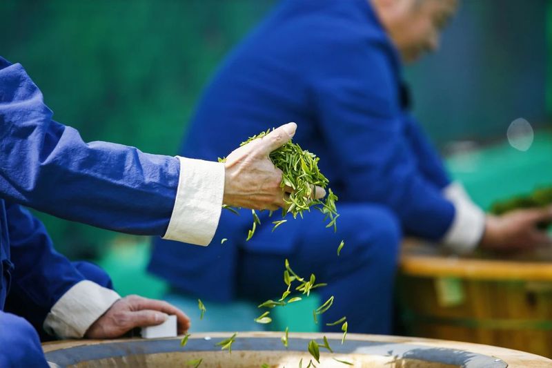 有关于2023第十五届合肥·庐江“白云春毫”茶文化旅游节盛大开幕的资讯(8)