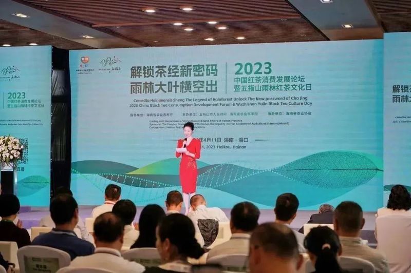 关于重磅发布!海南大叶茶为新茶种 拟命名为五指山茶的消息