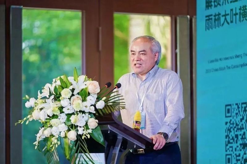 关于重磅发布！海南大叶茶为新茶种 拟命名为五指山茶的消息(2)