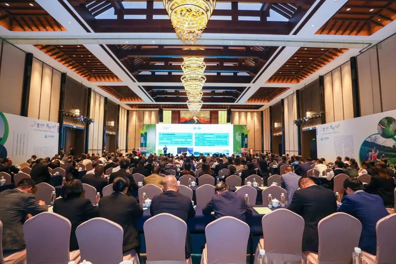 关于以茶为媒 共谋发展 “金奖惠明 千年禅茶”高质量发展论坛举行的相关信息