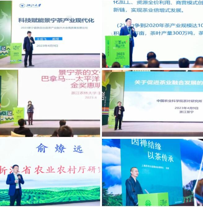 关于以茶为媒 共谋发展 “金奖惠明 千年禅茶”高质量发展论坛举行的相关信息(2)