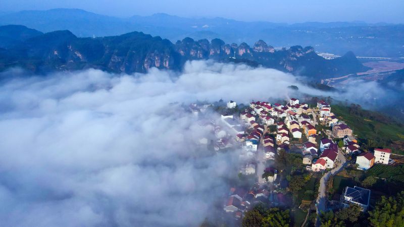 关于新昌：全方位赋能打造富民“金叶子”的消息(18)