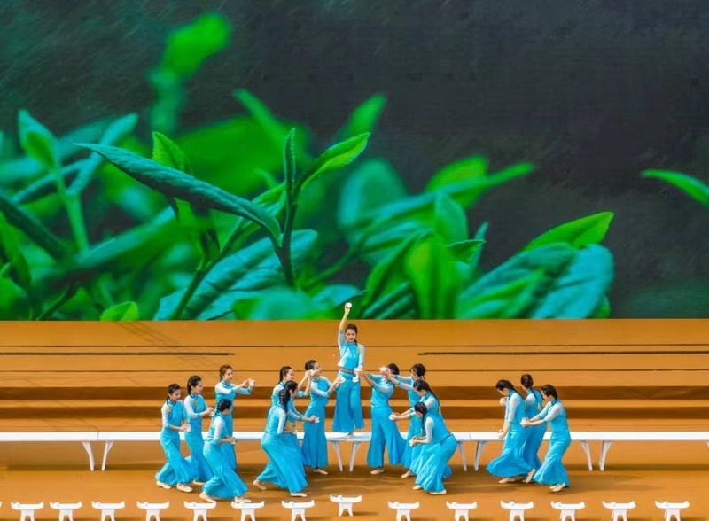 关于新昌：全方位赋能打造富民“金叶子”的消息(15)