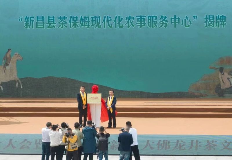 关于新昌：全方位赋能打造富民“金叶子”的消息(9)