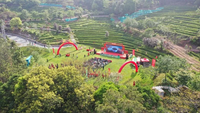 有关于 第四届“泰宁岩茶·茶香金湖”采茶节今日举办！推动茶产业再上新台阶的资讯