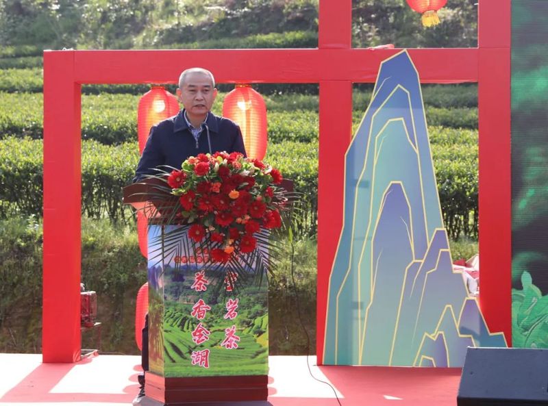 有关于 第四届“泰宁岩茶·茶香金湖”采茶节今日举办！推动茶产业再上新台阶的资讯(7)