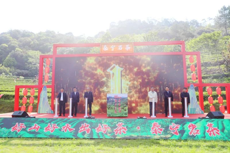 有关于 第四届“泰宁岩茶·茶香金湖”采茶节今日举办！推动茶产业再上新台阶的资讯(3)