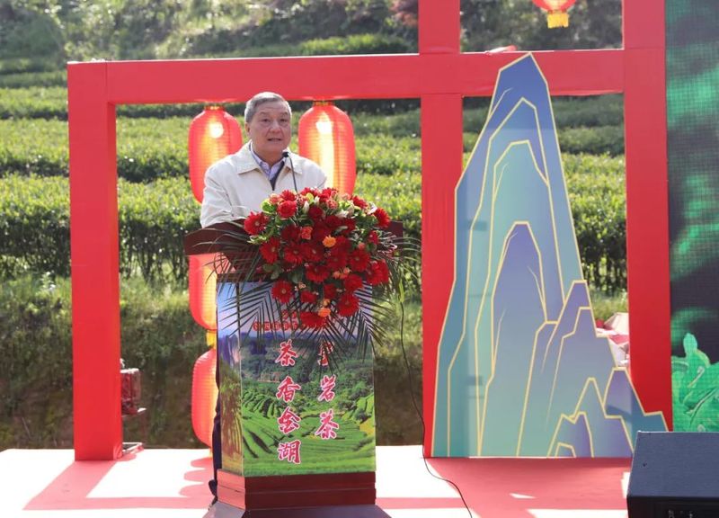 有关于 第四届“泰宁岩茶·茶香金湖”采茶节今日举办！推动茶产业再上新台阶的资讯(8)